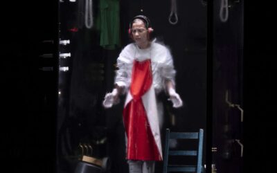 Idiota. Ficant-se be na gust dins la capsa de Pandora